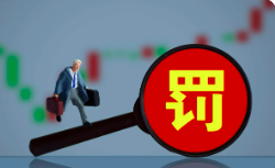 罰10萬元！企業(yè)無密閉措施和安裝凈化裝置超標(biāo)排放廢氣