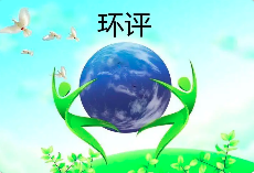 環(huán)境影響評(píng)價(jià)文件涉及弄虛作假等行為的，需要承擔(dān)哪些后果？